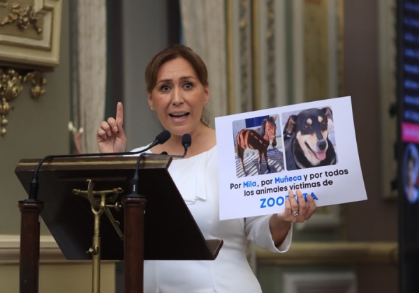 Congreso del Estado de Puebla tipifica la zoofilia; aprueba reformas en materia de bienestar animal