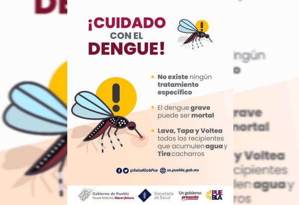 Puebla registra 27 nuevos casos de dengue: Salud