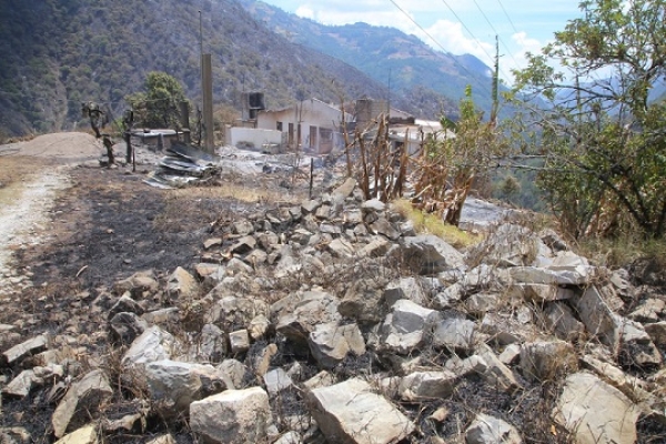 Extinguido, el incendio forestal en Zacatlán