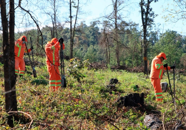 Articula Medio Ambiente estrategias para restaurar recursos naturales en Puebla