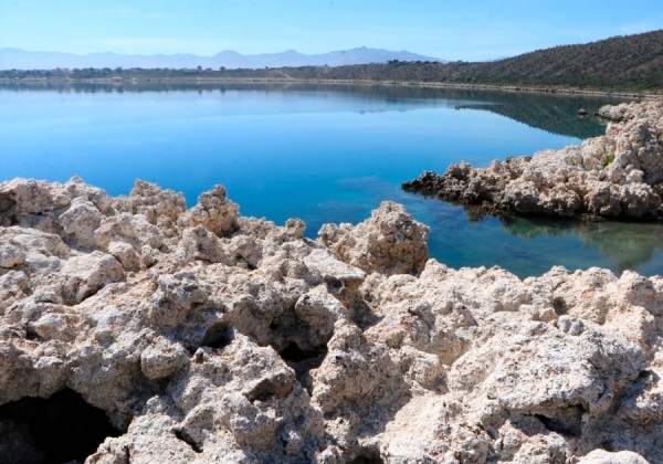 Trabaja Medio Ambiente en plan sustentable para Laguna de Alchichica