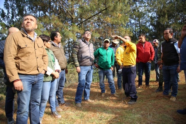 Refuerza Gobierno de Puebla labores para extinguir incendio forestal en Zacatlán