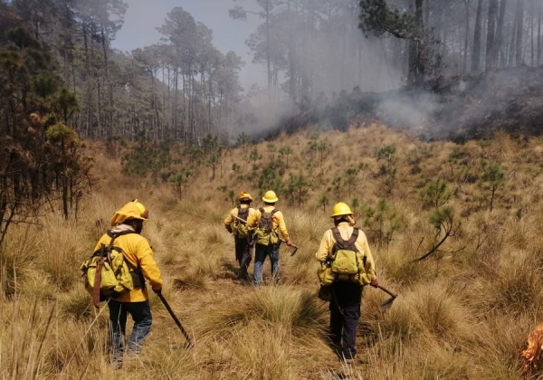 Establece gobierno de Puebla estrategias ante ola de calor y sequía