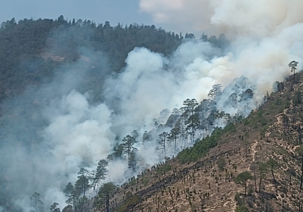 Incendio forestal en Libres está controlado al 95 por ciento y 85 por ciento de liquidación