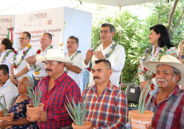 Favorece gobierno de Puebla producción de mezcal y desarrollo económico en Chiautla