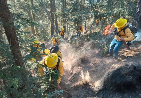 Combaten brigadas incendio forestal en Atzitzintla; no hay riesgo para población: Medio Ambiente