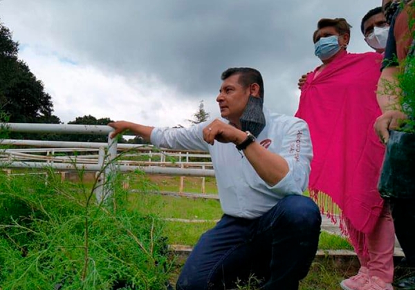 Alineada al Programa Nacional de Soberanía Alimentaria, la transformación del campo en Puebla: Armenta