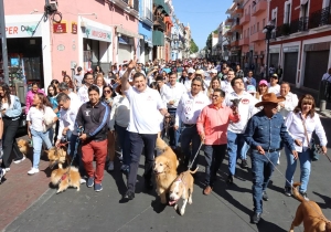 Por Amor a Puebla, Armenta concreta acciones a favor de la vida animal