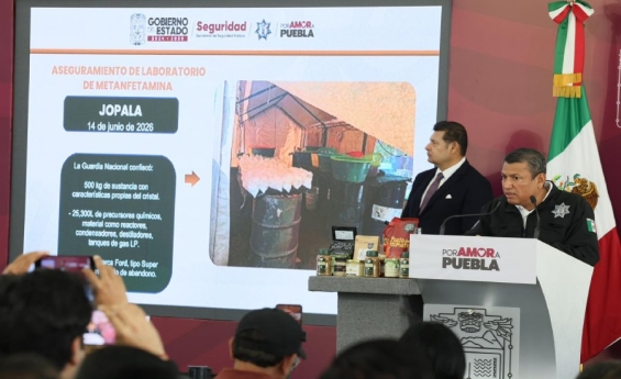 Con inteligencia y estrategia, gobierno estatal  desmantela producción de estupefacientes en Sierra Norte