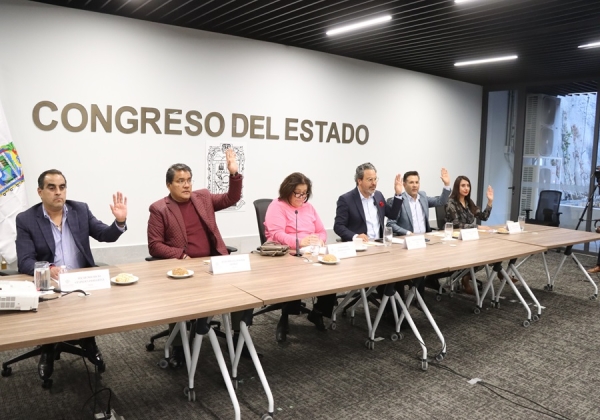 Avala Comisión del Congreso convocatoria para Consejo Consultivo de la CDH Puebla