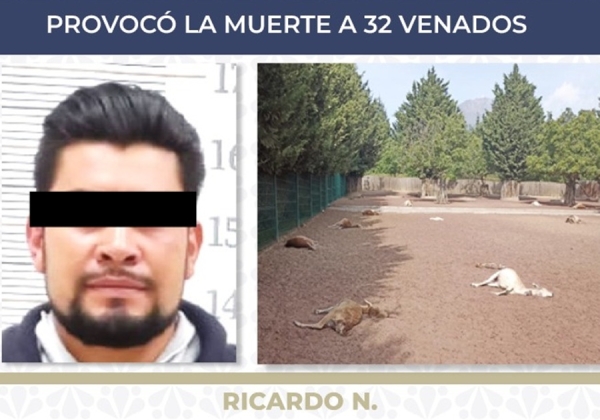 Obtiene FGE sentencia de 6 años de prisión contra sujeto por crueldad animal