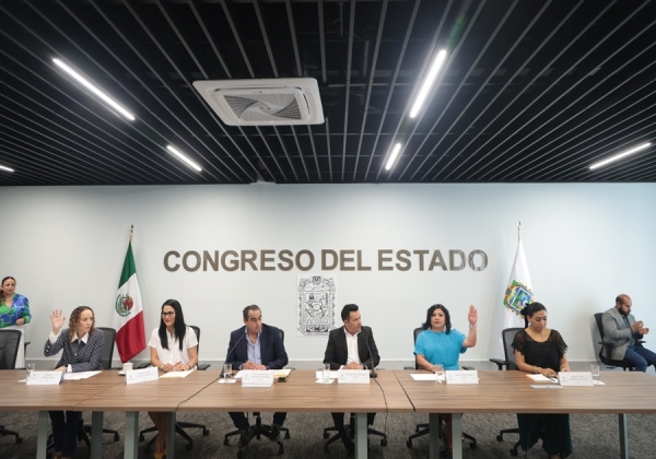 Avala Comisión del Congreso ampliar catálogo de delitos que pueden denunciarse de manera electrónica