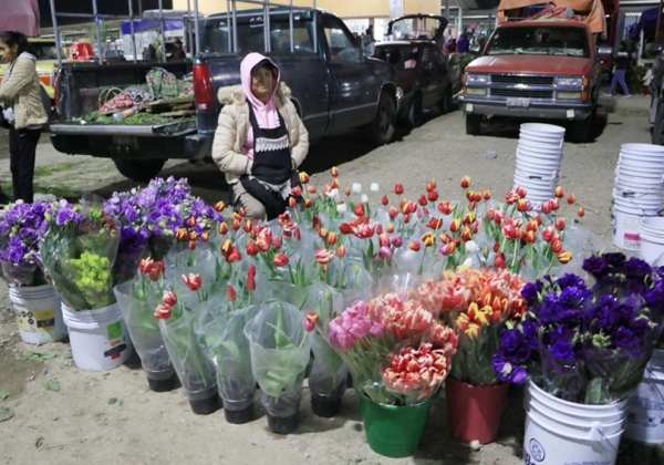 Mercado de Flores de Villa Frontera se prepara para el 14 de febrero