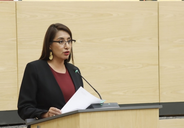 Impulsan en Congreso exhorto para elaborar programas preventivos contra el delito de estupro