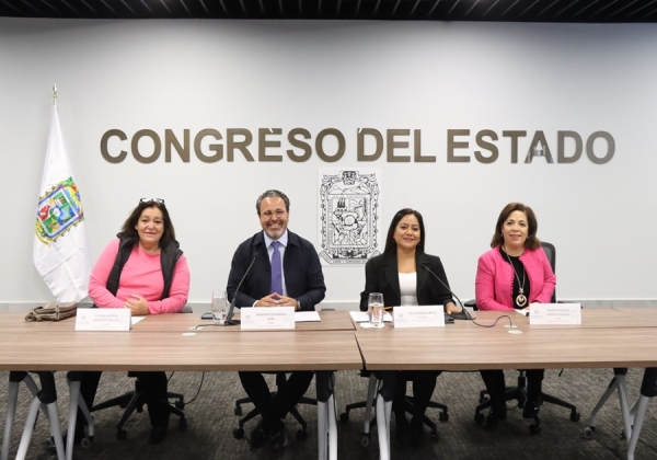 Presentan en Comisión del Congreso propuesta de Encuesta Digital para Organizaciones No Gubernamentales